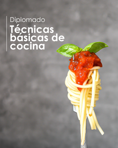 Diplomado de Técnicas Básicas de Cocina