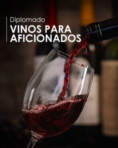 Diplomado de Vinos para Aficionados